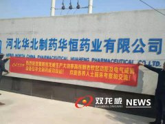华北制药带动一片市场