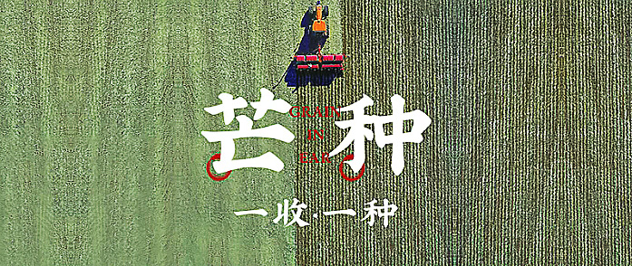 今日芒种