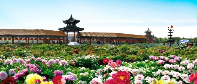 襄阳双龙威机电科技有限公司组织开展“龙腾四海齐聚菏泽赏盛世牡丹”活动